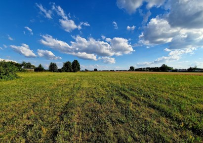 działka na sprzedaż - Skulsk, Łuszczewo